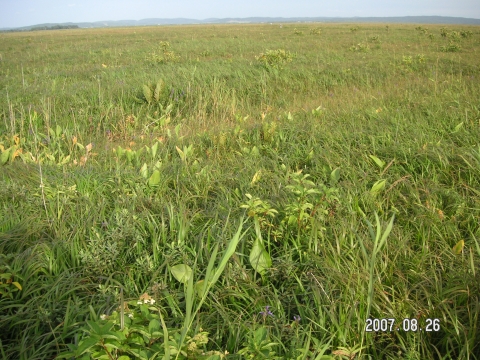 s_PICT0095.jpg